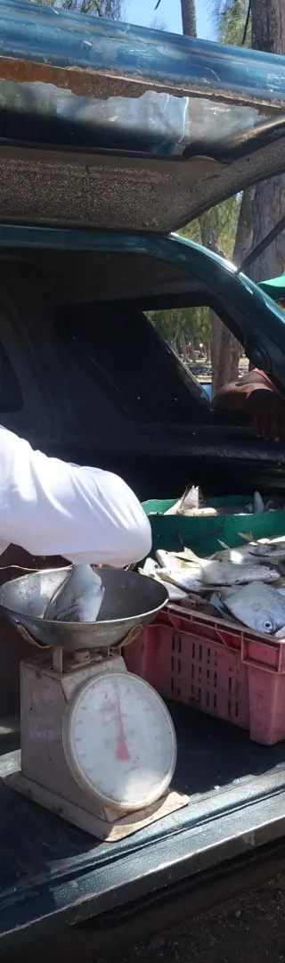 Wie viel darfs denn sein?